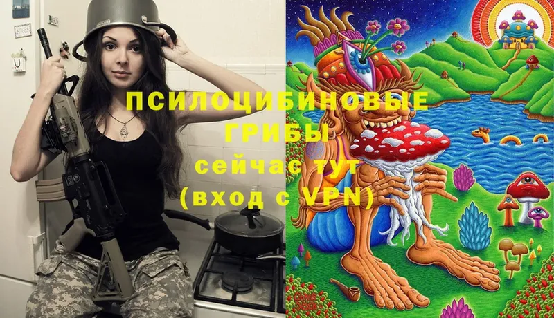 Галлюциногенные грибы MAGIC MUSHROOMS  Горнозаводск 